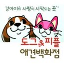 도그앤피플동물병원 네이버블로그