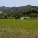 고인돌식당 이미지