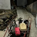 고니민박 이미지