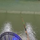 연정낚시터 이미지