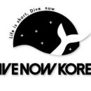 다이브나우