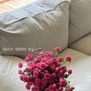 왕발상사