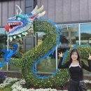 장터국수 이미지