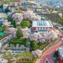 역사박물관 이미지