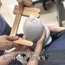 파티마3D | 창원 파티마병원 소아 사경 사두증 진료 후기 재활의학과 초진부터 초음파 검사까지