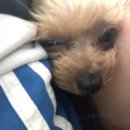 GS봉방점 | 연말과 연초 그 사이에서