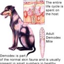 거제동물병원 이미지