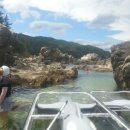 잔디밭민박 이미지