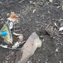 귀산농장 이미지