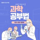 인텔피아영수학원
