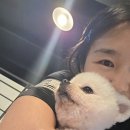 디로드 | 또 또 밀린 일기