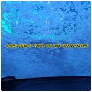 대양세차장 이미지