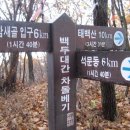 차돌배기로 이미지