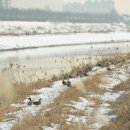 풀과 나무 의원 이미지