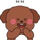 지음동물의료센터 이미지