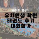 라이온스태권도 | 5살 사교육 태권도 학원 6살 전국 라이온스컵 대회 후기