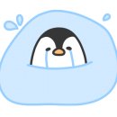 바하 고양이 병원 이미지