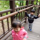 지영목장 이미지