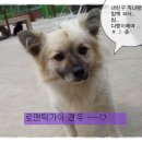 견우 이미지