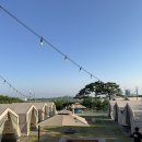 안석관광농원 당일치기 바베큐 내돈내산 후기 | 준비물 및 편의시설