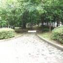 한라신영프로방스 Daum카페