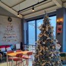 하이드온부쉬 | 춘천 감성 남이섬카페 하이드온부쉬 후기｜포토존·메뉴·주차 정보까지