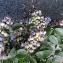 갈촌농장 이미지