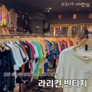 라리킨빈티지 | [대전]라리킨 빈티지 👔| 대전둔산동 빈티지 성지, 대전 놀거리 데이트장소 추천