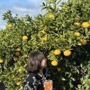 은하제일농장 이미지