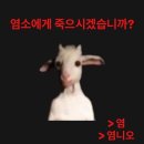 크크크PC방 | 너무 웃거버려서 난 영크크