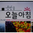 mbcTV오늘아침"위기의부부"(2012.2.15.09:22~09:30방송/대역배우김정자, 현동현,이주희,권보경) 이미지