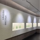 처음처럼 | 강릉 이색 체험 추천 롯데칠성 처음처럼·새로 브랜드 체험관 후기