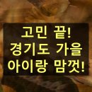 숲해설가와 떠나는 숲 나들이 -백양산 탐방 | 경기도 가을여행 아이와 함께 가볼 만한 곳 추천