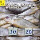 9월 30일, 파갈치, 100미 파조기, 160미 참조기, 파조기5kg, 병어, 풀치, 민어, 백조기, 홍어, 먹갈치젓, 잡어, 장어, 이미지