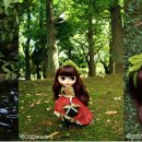 백설실업 이미지