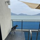 남해 낭만스테이 이미지