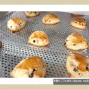 홈 베이킹(오전) 이미지