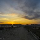 함안 말이산고분군 이미지