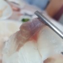 탑포어촌체험휴양마을 | 갯벌체험/고둥줍기/거제탑포어촌체험휴양마을