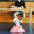 루이야 학교가자 이미지