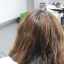 헤어라트 네이버블로그