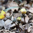 개산초등학교 이미지