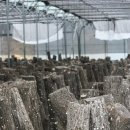 거창-신원-2 이미지