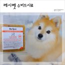 (주)레시펫 | 레시펫 강아지 수비드 자연식 사료로 해피는 매일 영양 가득 특식먹어요♡ (ft. 소고기, 오리)