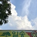 일송막국수，닭갈비 이미지