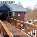 용천사 치유센터 | 경기 양평의 힐링 명소, 중미산자연휴양림 솔직 후기 🌲🍃