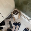 바오왁싱 이미지