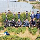 종돈농장 이미지