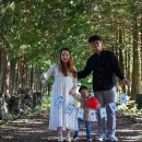 충장로72~이호로108 주변 | 34개월 아이와 제주도 가볼만한곳 3박4일 여행코스 (10월) + 31주 9개월 태교여행, 셀프스냅