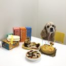 망원 휴개소 | 오솔이의 13번째 생일 파티간식 [왕짱과 망원휴개소]